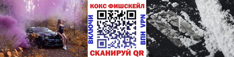 это наркотические препараты  Знаменск  Кокаин Эквадор  купить  