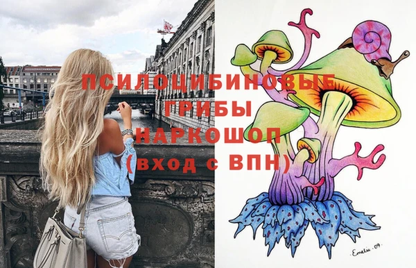 2c-b Верхний Тагил